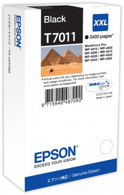 Epson T7011 (C13T70114010)